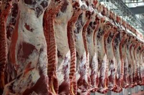 قیمت گوشت گوساله و گوسفند در تره بار