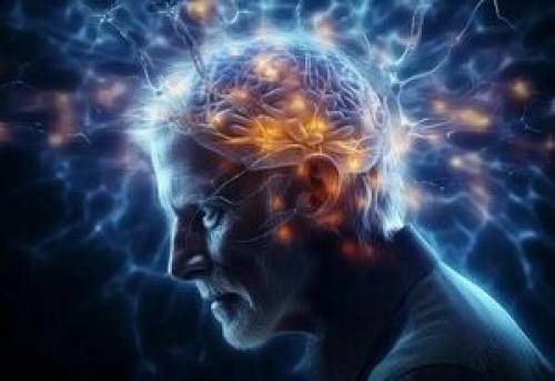  ۳ عامل آسیب پذیری مغز در برابر زوال عقل