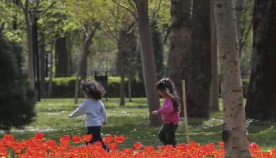 عکس/ جشنواره گل‌های لاله در پارک ملت مشهد