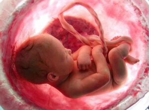 فیلم/ نجات جنین در شکم مادر