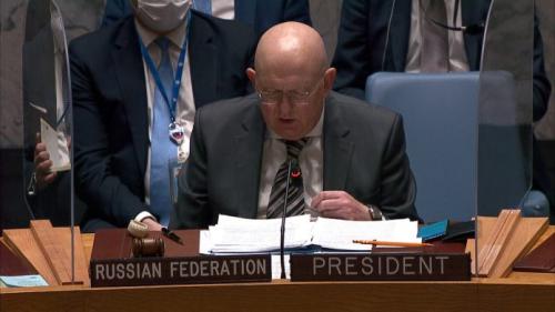 درخواست روسیه علیه اسرائیل از شورای امنیت
