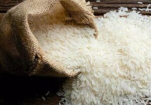 سقوط قیمت برنج ایرانی