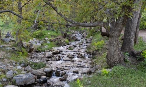 طبیعت بهاری دره خان ارومیه 