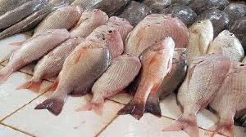 قیمت انواع ماهی ۷ خرداد