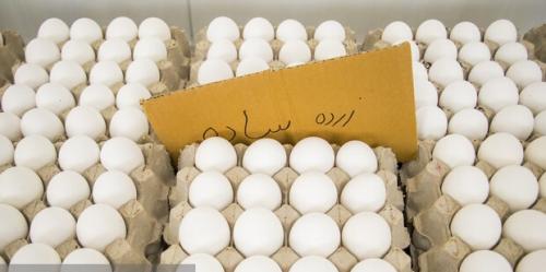 ممنوعیت صادرات تخم‌مرغ به عراق تکذیب شد
