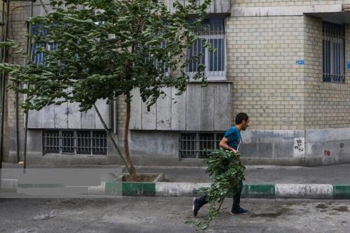 هشدار مدیریت بحران نسبت به وزش باد شدید، بارش باران و رعد و برق در برخی نقاط تهران