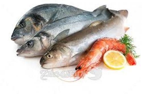 قیمت انواع ماهی ۳ مرداد 