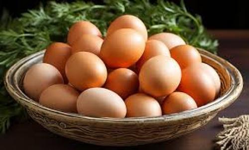 قیمت تخم مرغ امروز شنبه ۶ مرداد
