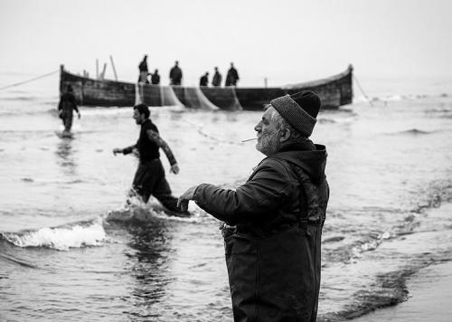 عکس/ فصل ماهیگیری در بندر انزلی