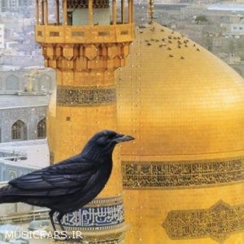 نماهنگ کلاغ  رو سیاه به مناسبت میلاد امام رضا/فیلم