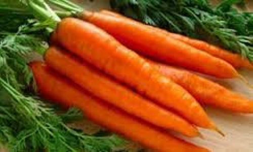  خواص هویج برای سلامت بدن 