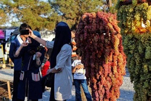  عکس/ پنجمین جشنواره انگور ارومیه