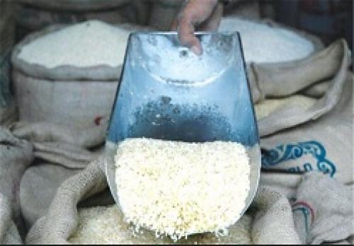 معرفی شدن عامل گران شدن برنج