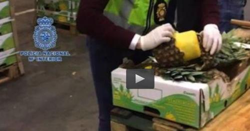  فیلم/ جاسازی 750 کیلو کوکائین در آناناس