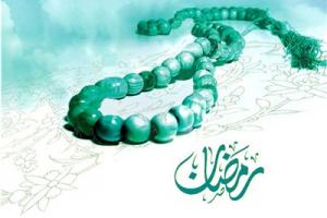farhangi128
