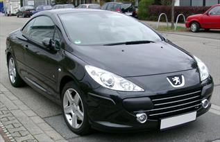 IMG11045038