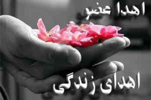 farhangnews 137172-392740-1438231413