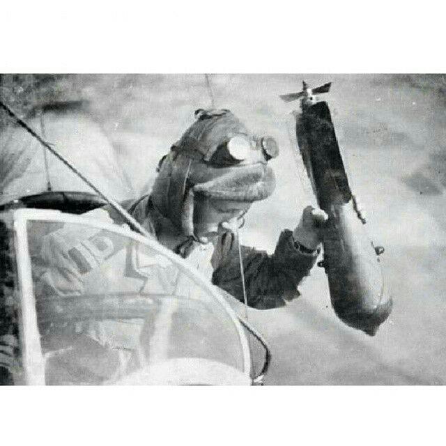 309481 301