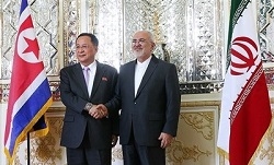 دیدار وزیرخارجه کره شمالی با ظریف 