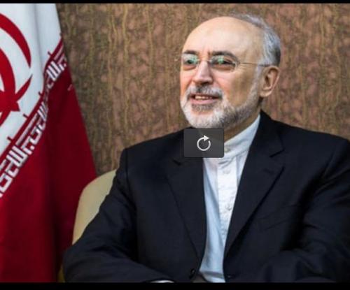 فیلم/ شغل فرزندان رئیس سازمان انرژی اتمی
