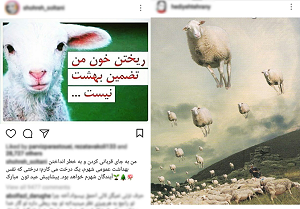 فتواهای عجیب سلبریتی‌ها برای اعیاد اسلامی/ از درختکاری به جای قربانی‌کردن تا دلسوزان یک بام و دو هوا+تصاویر 