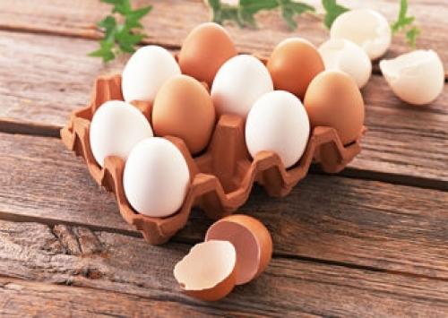  دردسر جدید تولیدکنندگان تخم مرغ 