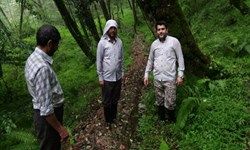 ۹ کیلومتر آب‌رسانی با حفر کانال در دل جنگل