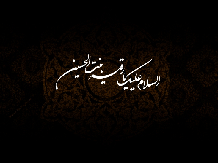 پایم حریف خار مغیلان نمی شود...
