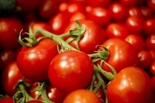  دلیل گرانی سیب زمینی و گوجه در بازار 