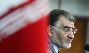  بانک مرکزی باید دو ماه زودتر مداخله می‌کرد