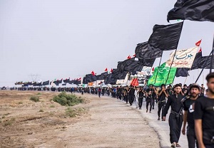  تصویری زیبا از خروش زائران اربعین اباعبدالله