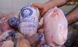 بی‌توجهی مرغ‌ها به قیمت مصوب دولتی