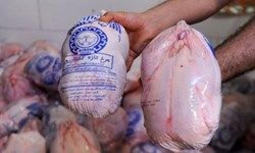 بی‌توجهی مرغ‌ها به قیمت مصوب دولتی
