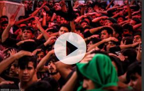 عزاداری زائرین پاکستانی در مسیر نجف به کربلا