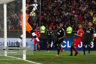 سورپرایز خبری شاه ماهی ها به هواداران پرسپولیس