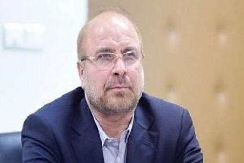 آقای قالیباف نهال دوستی بکارید نه بذر اختلاف