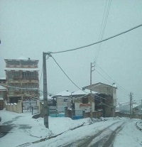  عکس/ بارش برف در رامسر