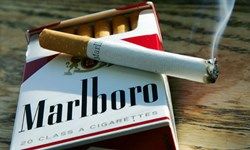 عکس/ 10 پاکت خالی بیار یک بسته هدیه بگیر!