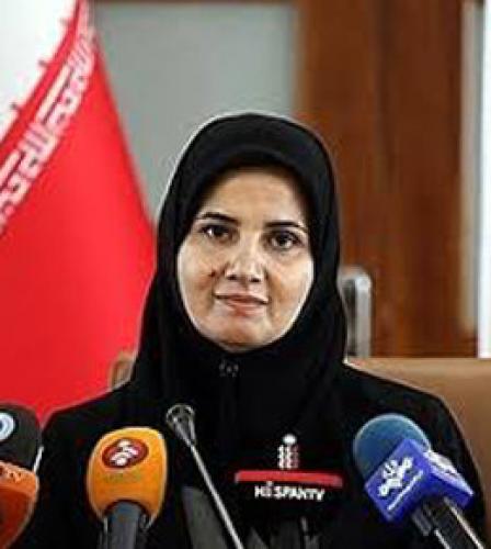 پایان جلسات ۳ جانبه ظریف، کدخدایی و معاون روحانی/ تعیین تکلیف CFT در مجمع 