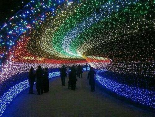 وقتی نور بلای جان مردم می‌شود