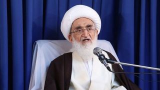 آیت‌الله نوری همدانی: کنوانسیون پالرمو برای کشور مفید نیست/ ما نمی‌توانیم سکوت کنیم 