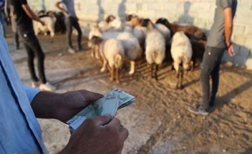 تلاش‌های مشکوک امارات و عربستان برای ایجاد قحطی در کشور پس از تهدید انگلیس/ قاچاق دام مولد زنده با سه برابر قیمت با چه هدفی صورت می‌گیرد؟/ دستگاه‌های نظارتی و امنیتی ورود کنند