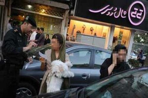 سگ گردانی در تهران ممنوع شد