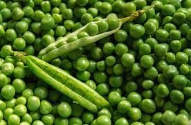 مبارزی کوچک در برابر سرطان معده