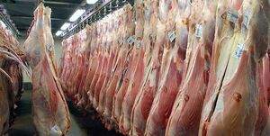  قیمت انواع گوشت، مرغ و ماهی در بازار تهران