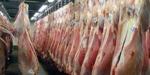  قیمت انواع گوشت، مرغ و ماهی در بازار تهران