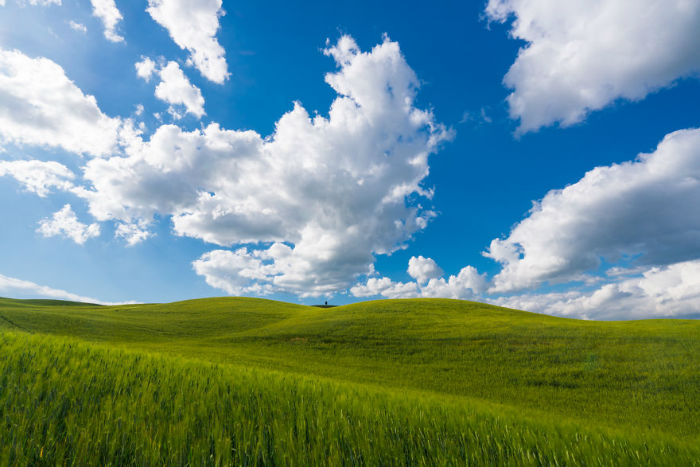 جزئیات "همکاری مشترک"سپاه و دولت برای بارورسازی ابرها