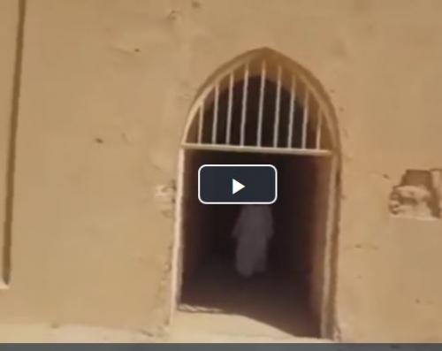 محل قرار گرفتن امام هادی (ع) در بین شیر های درنده /فیلم