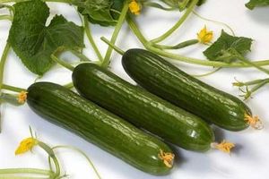 خیار و خواص ضدآلزایمری آن
