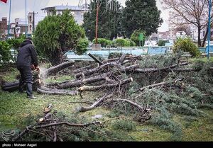 کشاورزان چقدر خسارت سیل دریافت می‌کنند؟